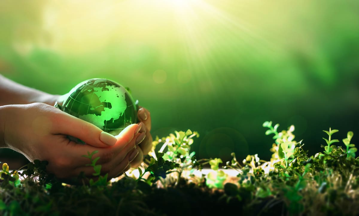 Comment devenir agent de développement durable ?
